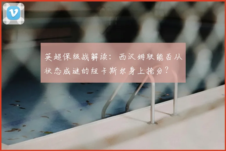 英超保级战解读：西汉姆联能否从状态成谜的纽卡斯尔身上抢分？