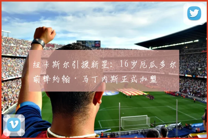 纽卡斯尔引援新星：16岁厄瓜多尔前锋约翰·马丁内斯正式加盟